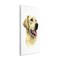Stupell Industries Labrador Retriever Energetic Portrait Expression Canine Pet Painting Wall Plaque Design By Grace Popp